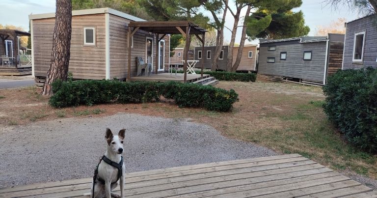Campingplatz in Gruissan