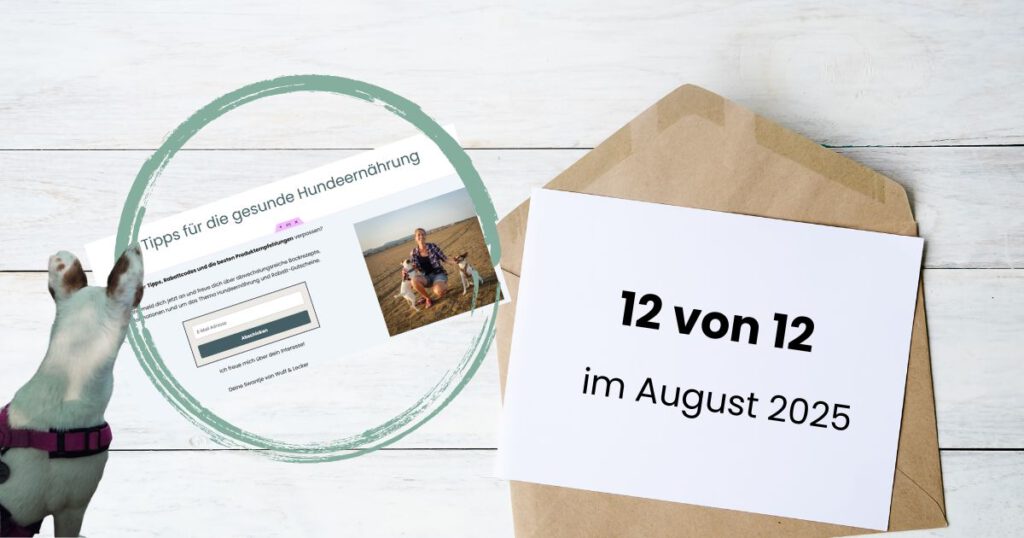 Titelbild 12 von 12 - Tipps zur Hundeernährung