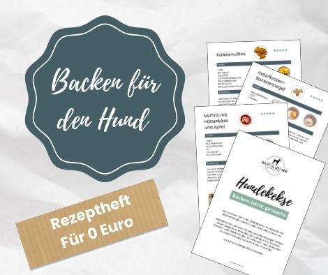 Rezeptheft für Hundekekse für 0 Euro