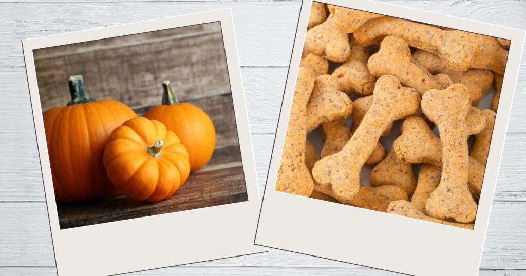 Backmatte für Hundekekse mit Kürbis und Kokosmehl, Abbildung von einem Kürbis und Hundekeksen