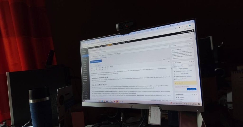 Monitor mit einem Blogartikel über alte Hunde