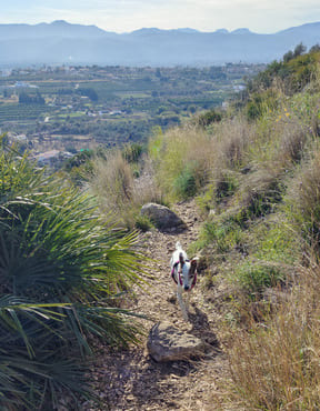 Wanderweg El Verger