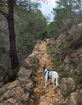 Rudi auf dem Wanderweg Gata de Gorgos