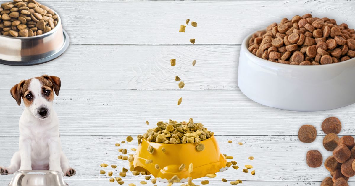 Das beste Hundefutter - Trockenfutter im Test | Wuff & Lecker