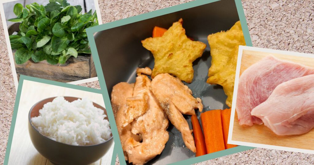 Kochen für alte Hunde - Rezepte. Hundennapf mit Futter, Putenfleisch, Feldsalat und Reis.
