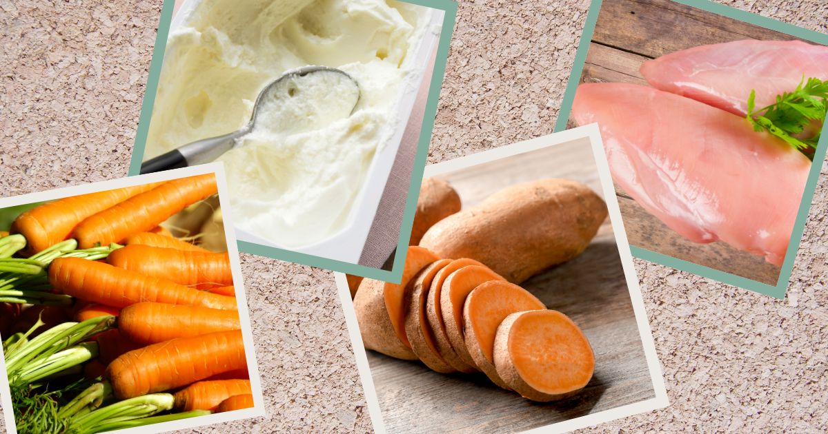 Kochen für alte Hunde - Rezepte mit Hähnchen. Süßkartoffeln, Möhren und Quark.