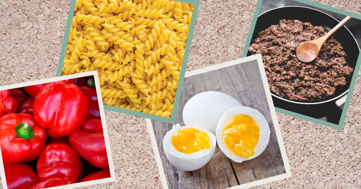 Kochen für alte Hunde - Rezepte mit Rinderhack, Nudeln, Ei und Paprika
