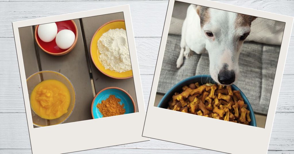 Kürbis-Kurkuma-Hundekekse aus der Backmatte, Bild mit den Zutaten, Bodeguero mit Keksen