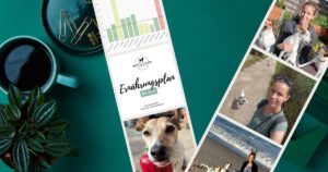 Fotostreifen mit persönlichen Bildern. Ernährungsplan für Rudi.