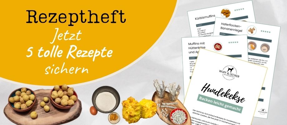 Rezepte für Hundekekse - Bilder der Hundekekse, Abbildung des Rezepthefts