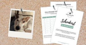 Schonkost für den Hund, Rezept in der richtigen Menge.