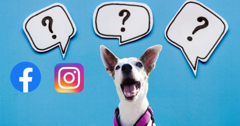 Social Media Icons, Fragezeichen, Ratonero Bodeguero Andaluz