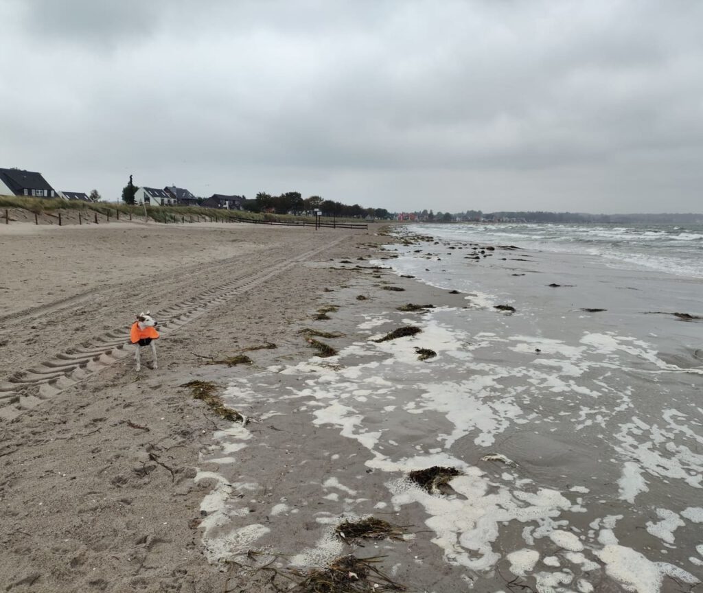 To-Want-Liste am Ostseestrand Scharbeutz