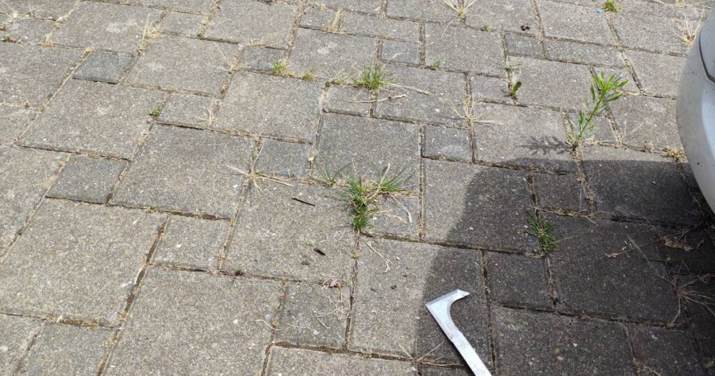 Unkraut in der Auffahrt