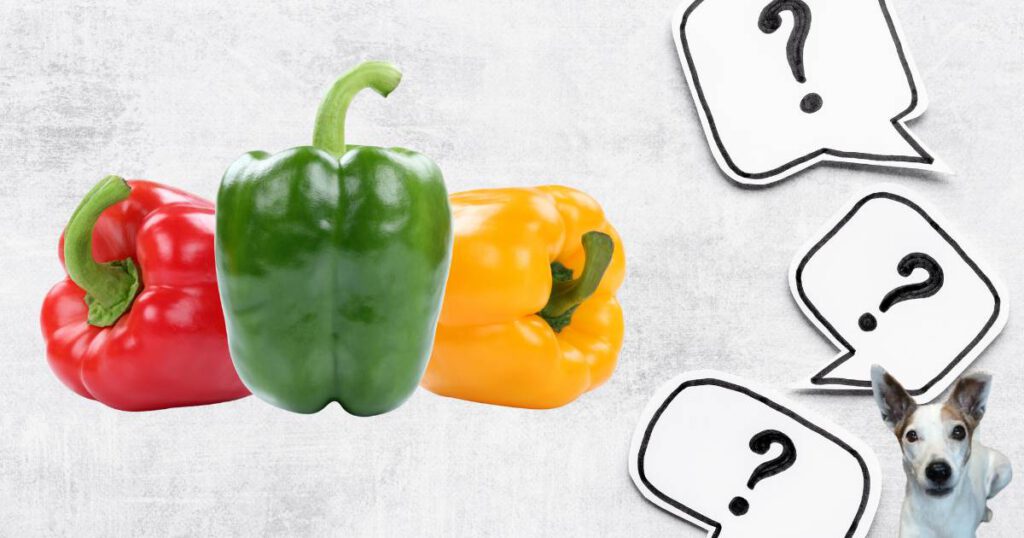Welche Paprika für Hunde? Rote, grüne, gelbe Paprika auf einem Hintergrund mit Fragezeichen.
