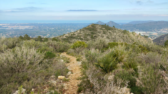 Blick auf Denia von der Wanderung bei Pedreguer