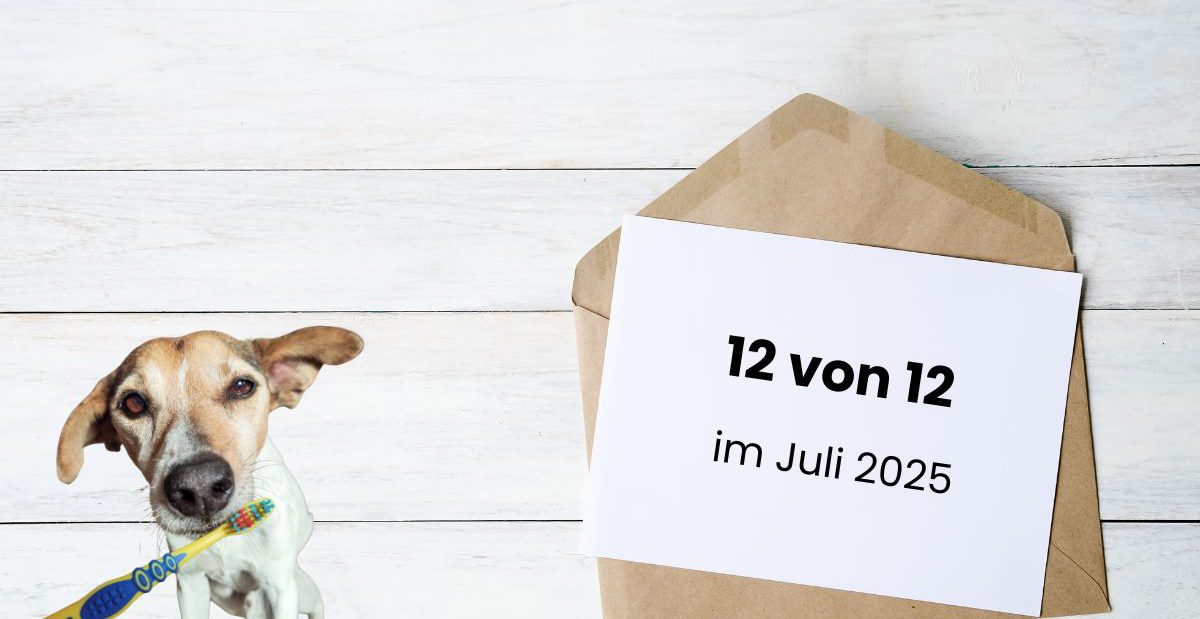 12 von 12 im Juli 2025. Briefumschlag mit Titeltext, Bodeguero mit Zahnbürste