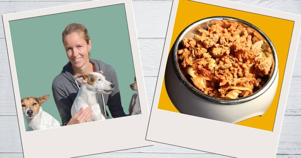 Hundeernährungsberatung wie ich dich unterstützen kann