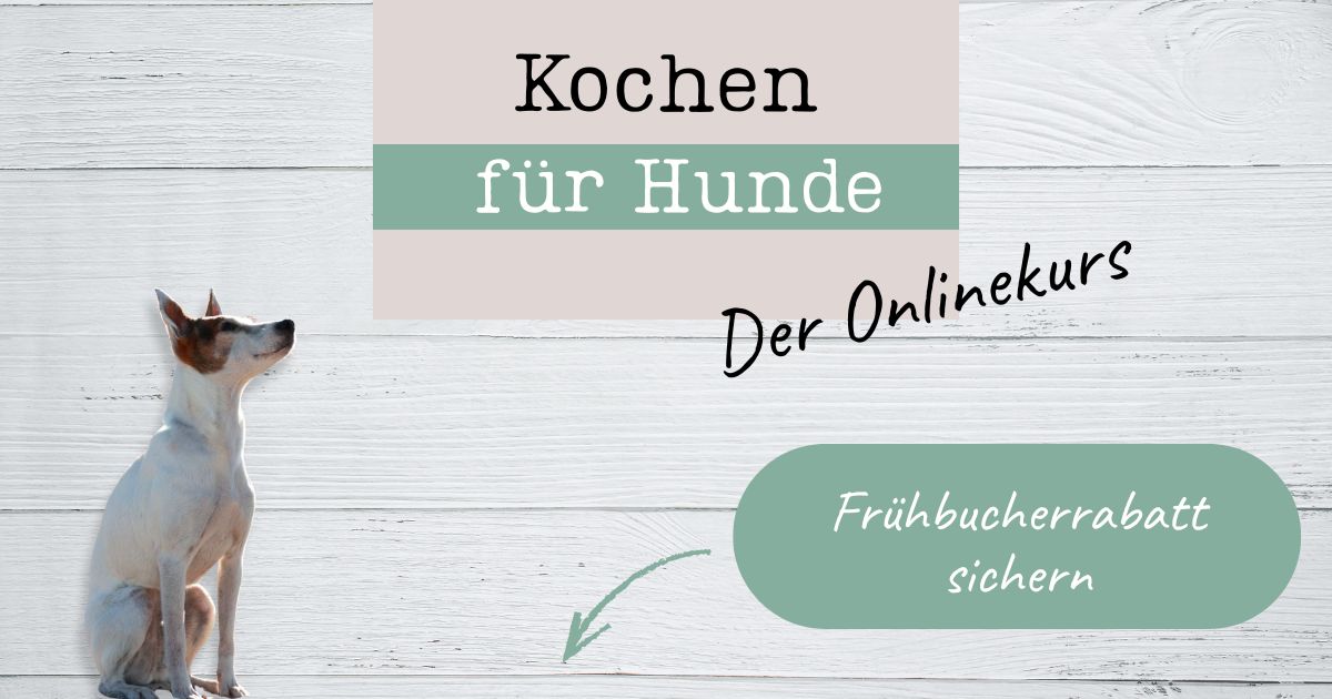 Kochen für Hunde Onlinekurs, Bodeguero mit den Schriftzügen zum Onlinekurs