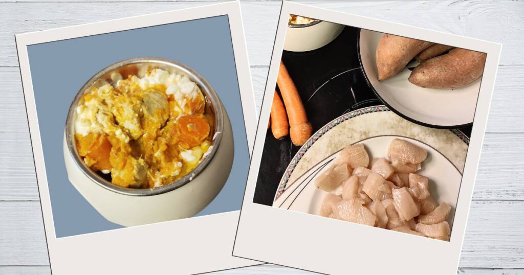 Kochration für den Hund mit Hähnchen, Möhren und Hüttenkäse. Hundenapf mit fertigem Futter.